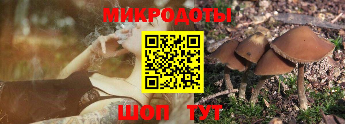 купить наркоту  Псилоцибиновые грибы мицелий  Вход с VPN  Хабаровск 