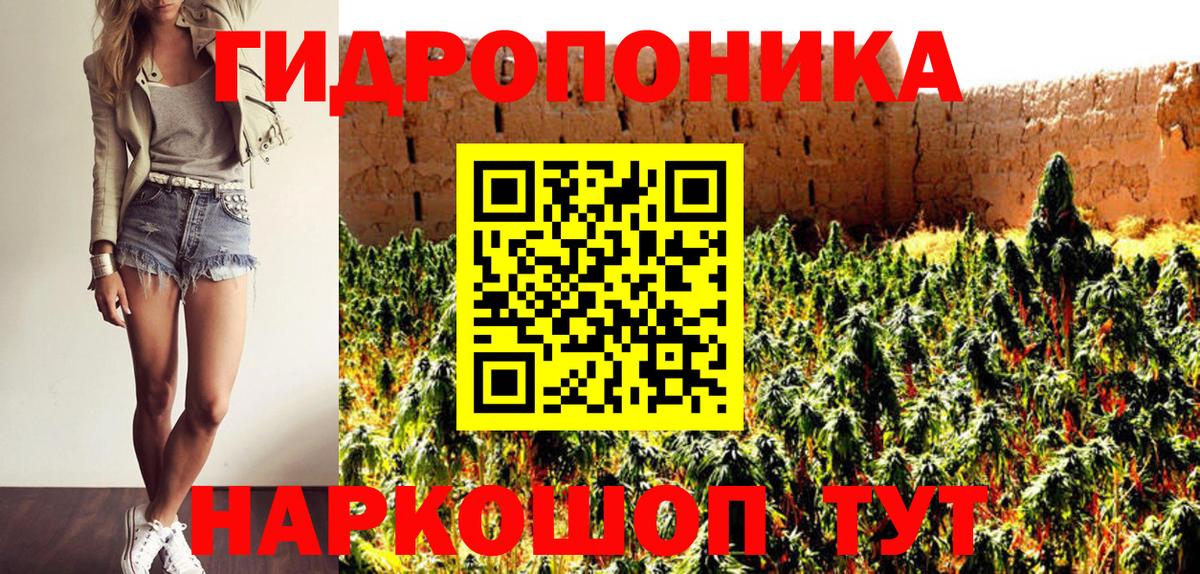 Бошки Шишки семена Хабаровск